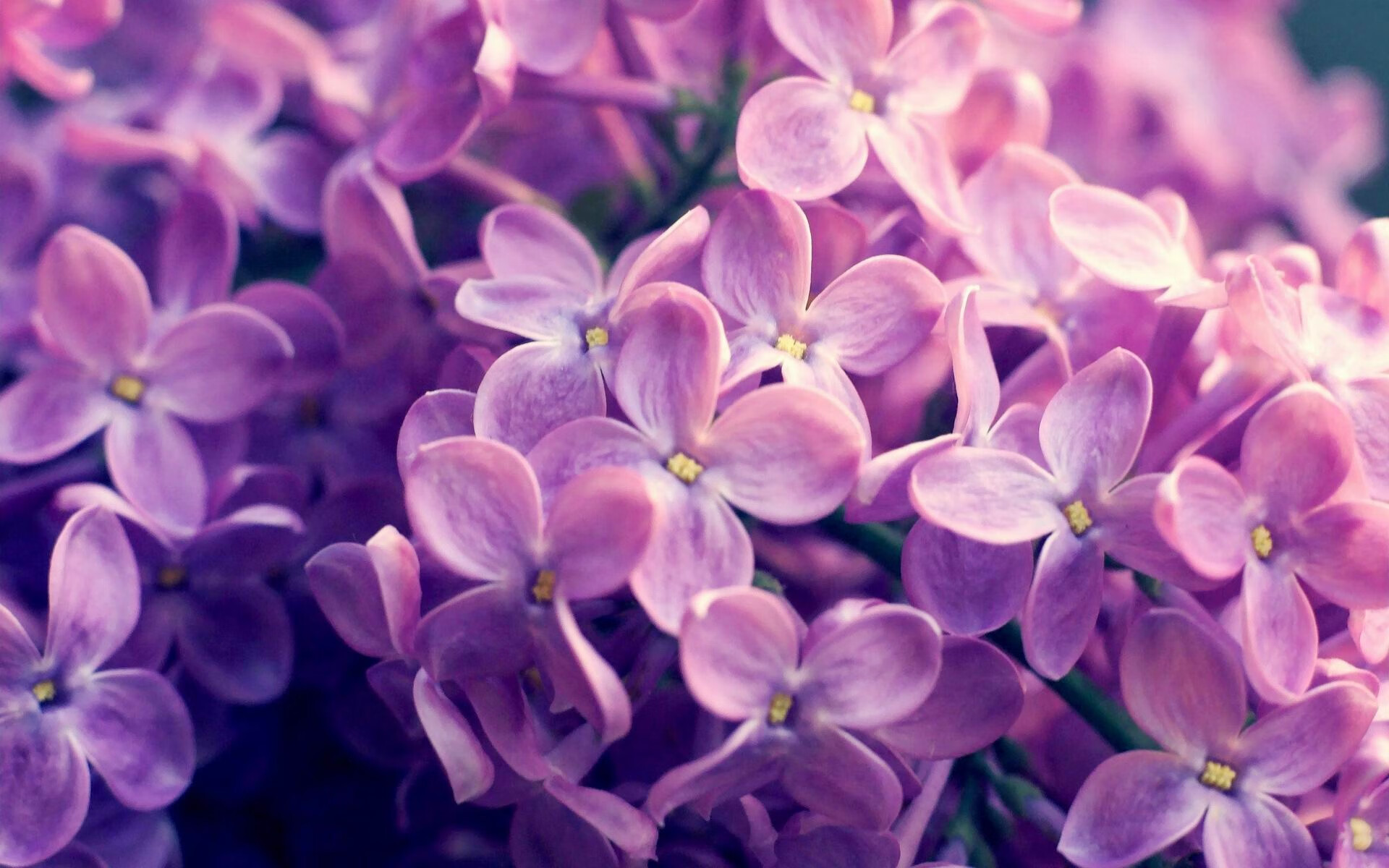 开云体育中国官网-_环保滑板：绿色出行的时尚选择_，环保板图片