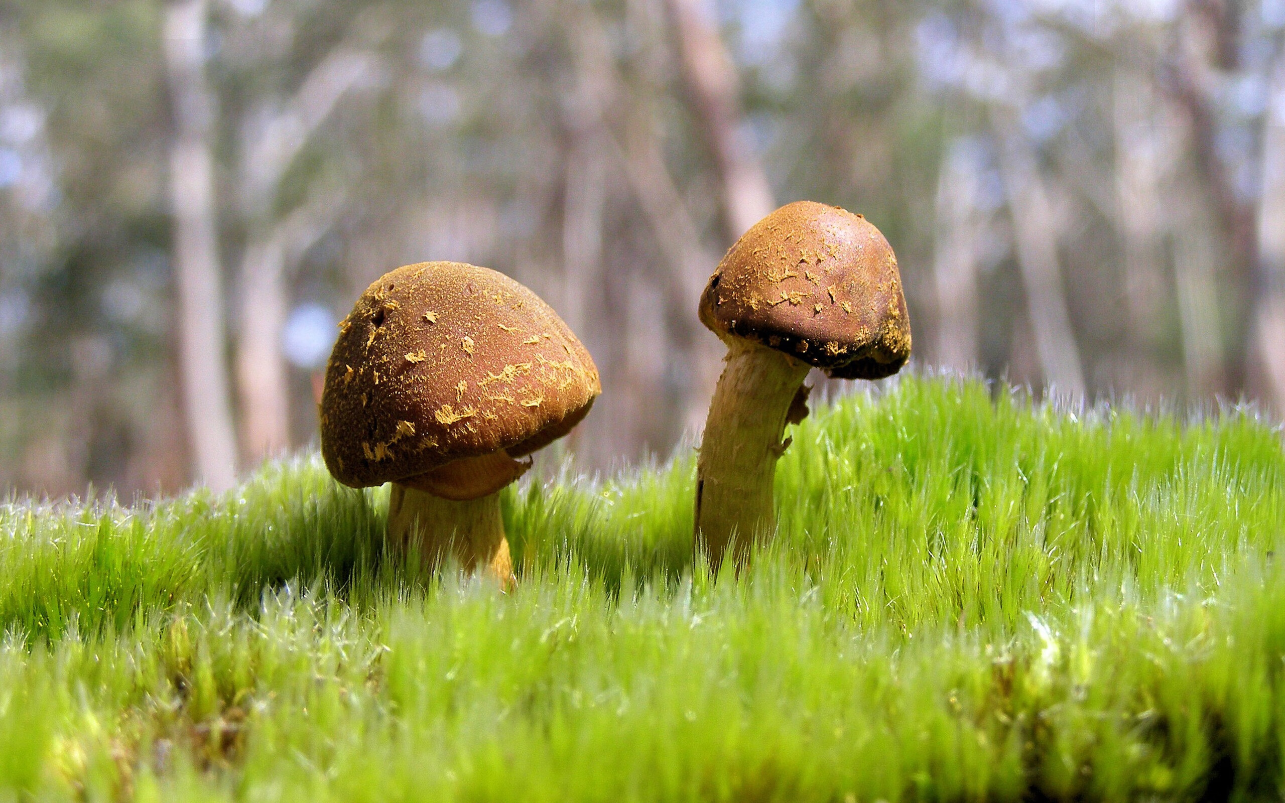 开云·体育官网APP下载-“高水平青训教练team全面打造，培养未来国脚”，高水平教练执教手册pdf