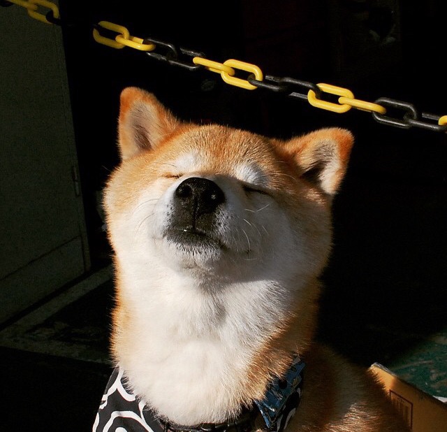 开云体育登入-史上最“爆炸”的单场得分纪录，谁的锋芒最耀眼？，爆炸比赛